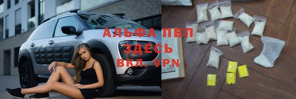 ешки Белокуриха