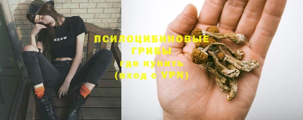 ешки Белокуриха
