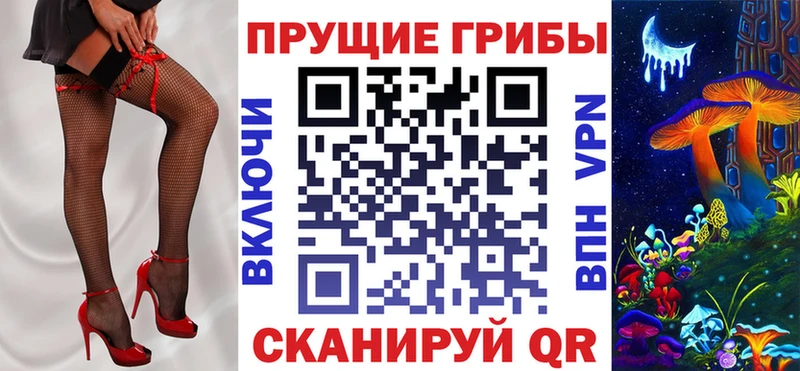 Галлюциногенные грибы Psilocybe как найти закладки кракен онион Бутурлиновка